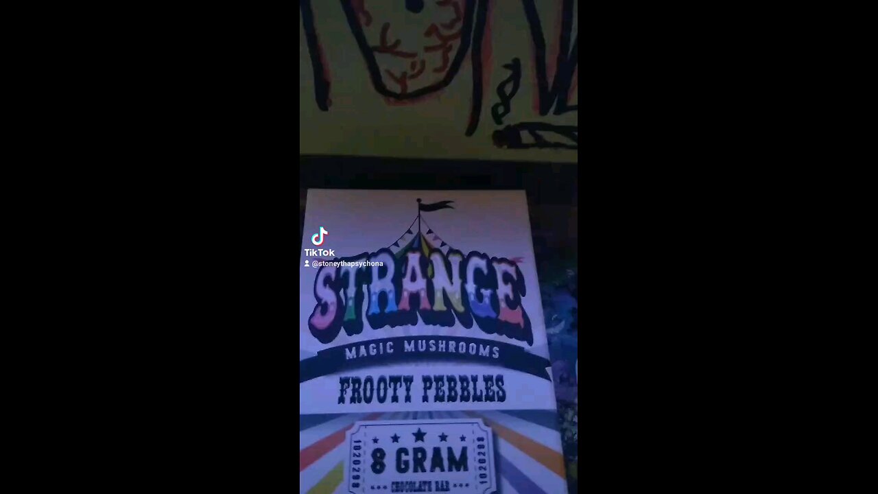 Strange Magic Mushroom Chocolate Bar review intro