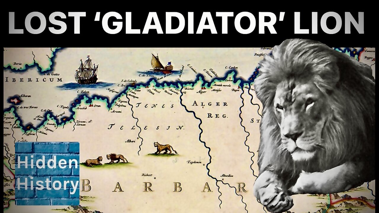 The lost lions that fought gladiators in Ancient Rome