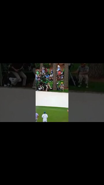 Falling Tree Almost Hits Spectators at The Masters