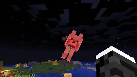 HITTING ALL MINECRAFT ANIMALS❗❗❗