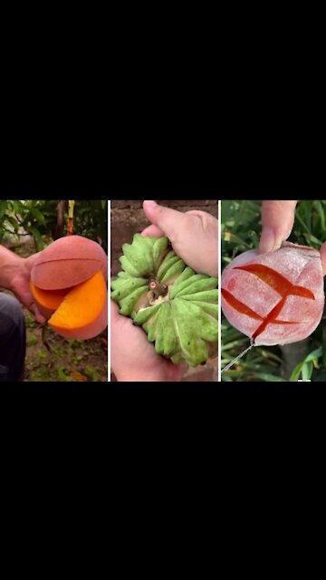 Farm Fresh Ninja Fruit Cutting | Oddly Satisfying Fruit Ninja #04