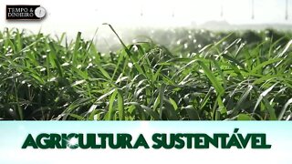 Agricultura Sustentável - com Frederico Olivi