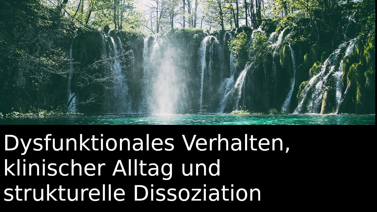 Dysfunktionales Verhalten, klinischer Alltag und strukturelle Dissoziation