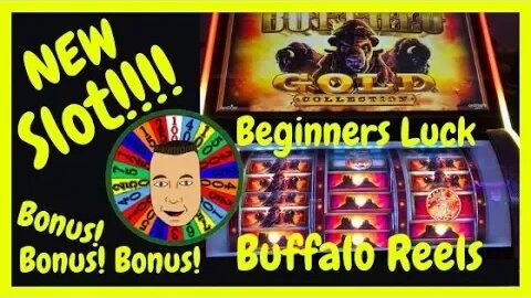 💥NEW Buffalo Gold Reel Slot Machine Winning💥