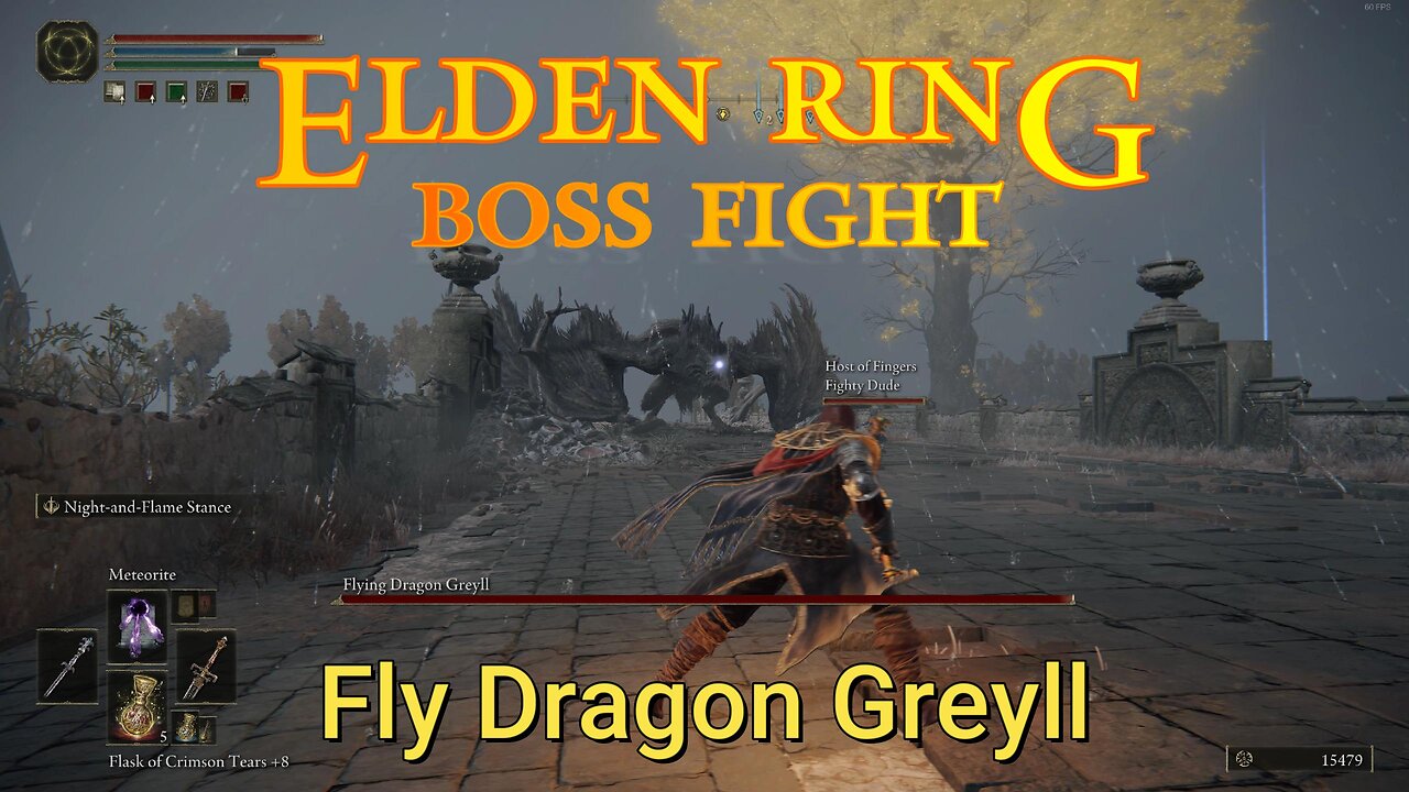 Elden Ring : Boss Fight - Fly Dragon Greyll