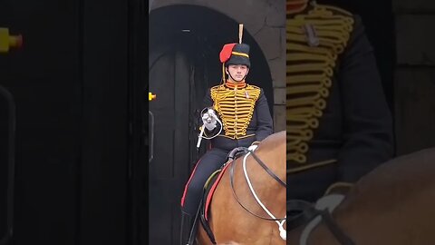 Horse's bite #horseguardsparade