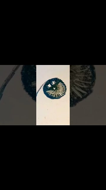 easy way to draw a girl eye drawing Tutorial for Beginners Using Only Art line Pencil Sketch