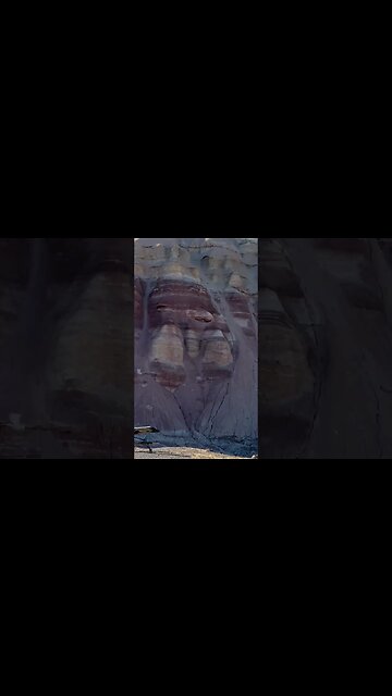 land anywhere, land everywhere! #bushplane #airplane #flying