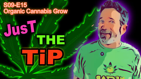 S09 E15 - Week 7 Of Flower In Our Cannabis Grow 🪴 Citizen Science Says... Run Your Fans 24/7 ...?