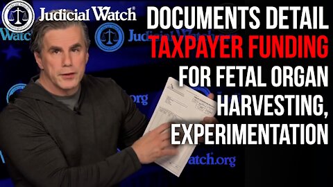 HORRIFIC: Records Showing FDA Paid for Human Fetal Parts for Use In ‘Humanized Mice’ Creation