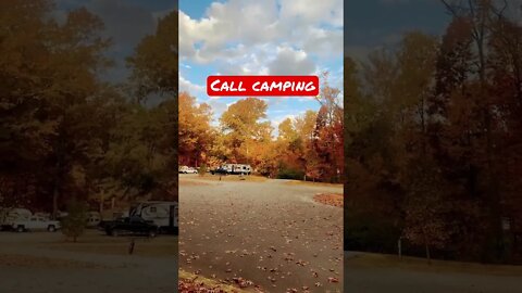 Perfect weather for fall camping in Kentucky. #Shorts, #Prepperboss, #FallLeafs, #Autumn, #Leafs