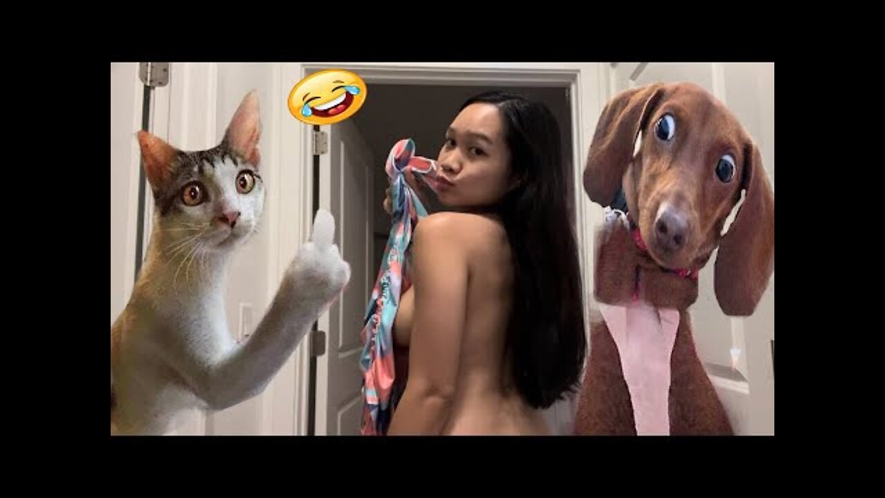 Funny#cute#dog and cats video