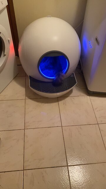 PaWz Atomic Kitty Litter Cleaner