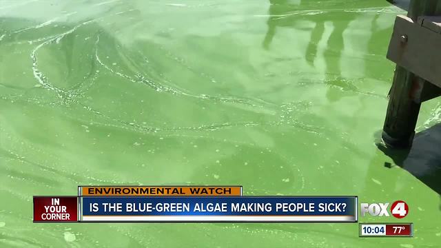 Is the blue-green algae making people sick?