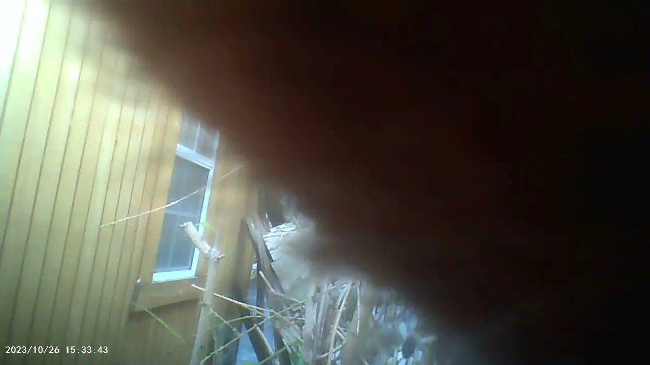 MOV00006