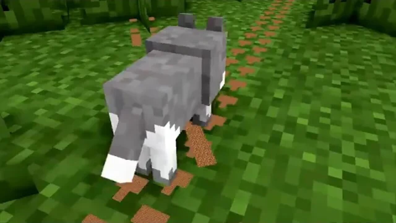 WOLF LIFE MOVIE Cubic Minecraft Animations All Episodes + BONUS &&&& 17