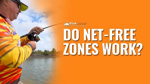 Do net free zones work?