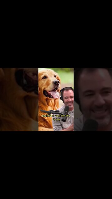 Why pet insurance might be important - Bryan Callen telling a story about his Dog - Joe Rogan