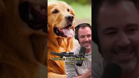 Why pet insurance might be important - Bryan Callen telling a story about his Dog - Joe Rogan