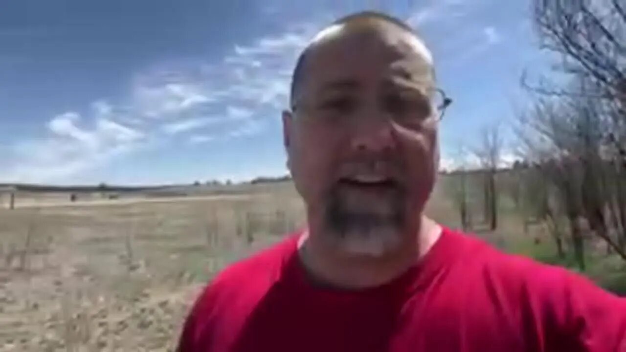 Checking out a VIRGIN SITE to metal detect