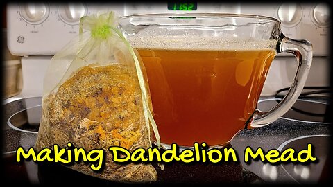 Making Dandelion Mead From Start to Finish