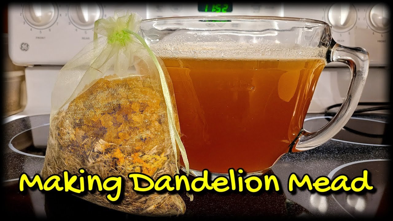 Making Dandelion Mead From Start to Finish