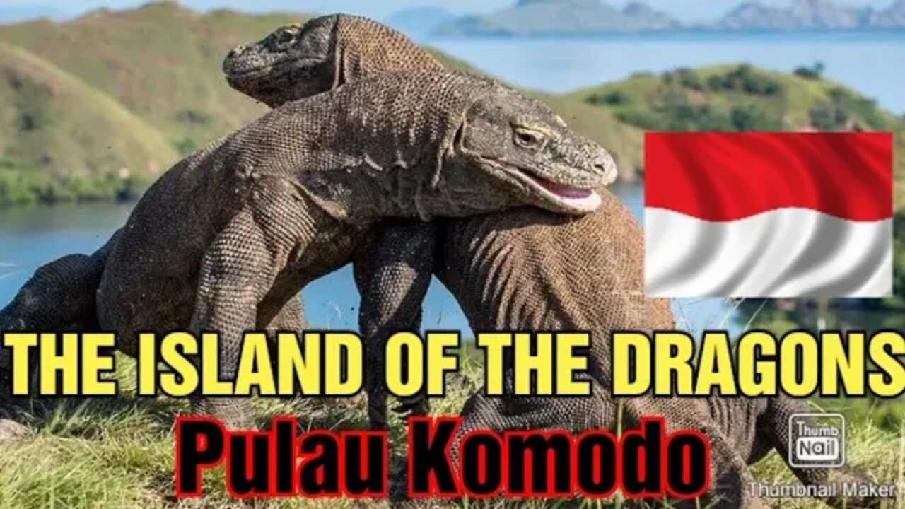 KOMODO ISLAND, INDONESIA [Pulau Komodo]