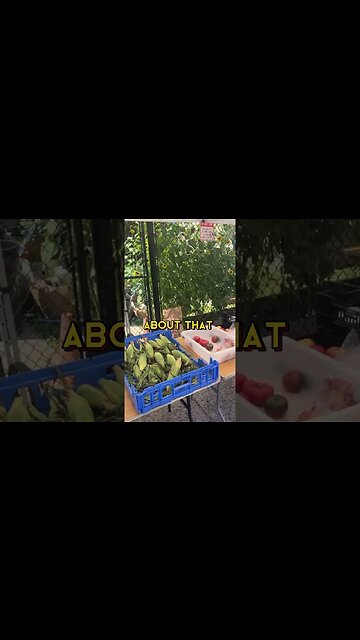 AN INVITATION TO FREEDOM