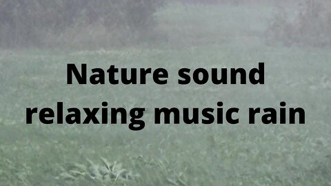 Relaxing music nature sounds rain