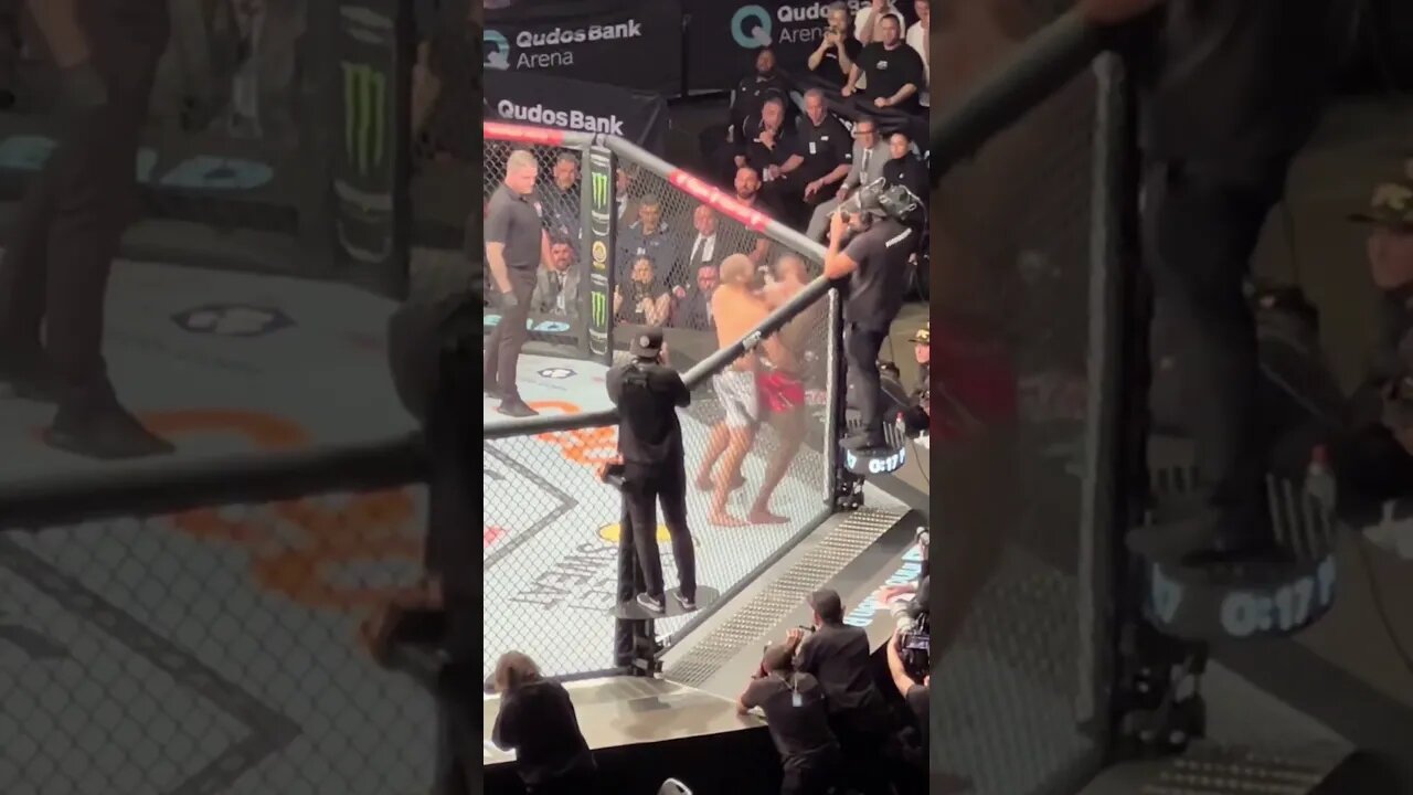 Sean Strickland Drops Izzy New | #ufc293 #ufc #seanstrickland #israeladesanya