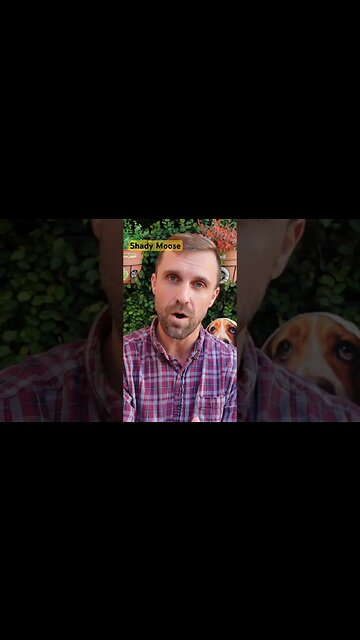 SOOOO Shady! #cigar #cigars #budget