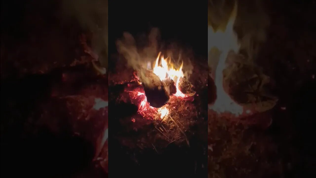 Appalachian fire
