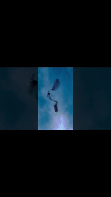 Nature is the best artist 🍃🕊