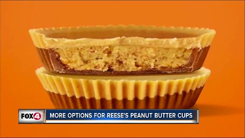 ReesE's vs. Reese's