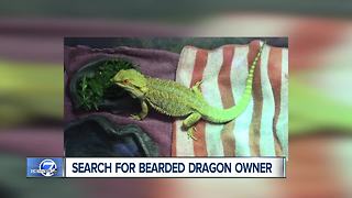 Top stories: Leadville wildfire, murder suspect, pet dragon