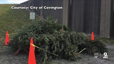 Covington recycles hundreds of Christmas trees and lights