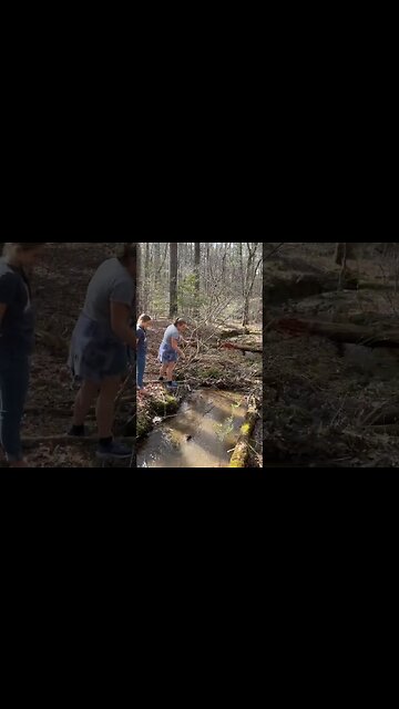 In the woods with Holley the pig dog.