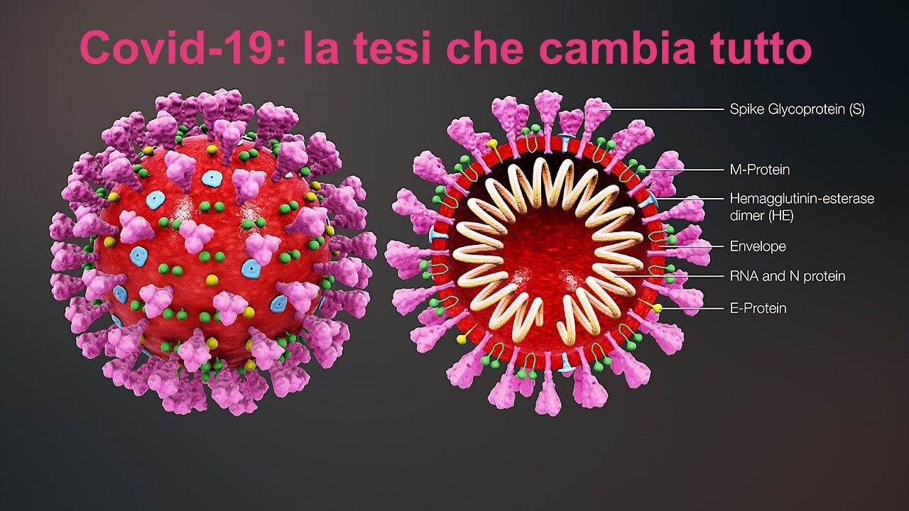 Covid19: la tesi che cambia tutto