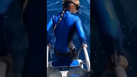 Shark attack barely avoided 😱 #shorts #short #shortsvideo #trending