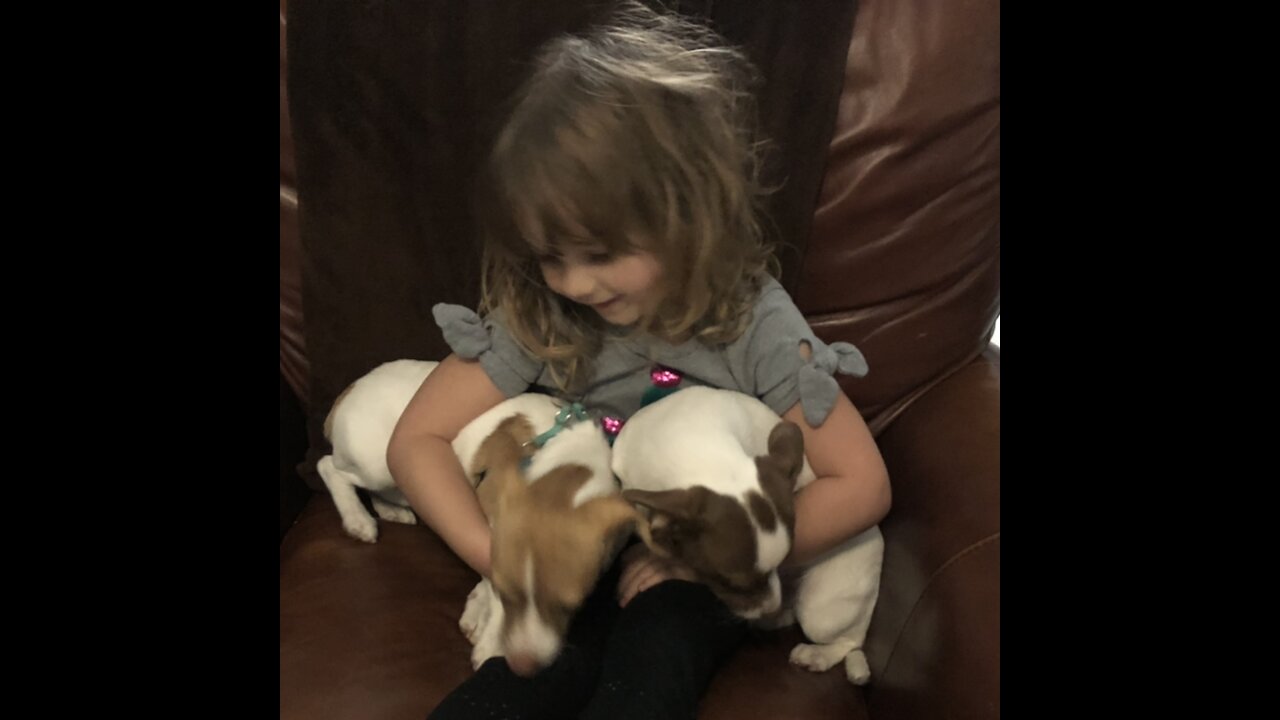 Too cute!!