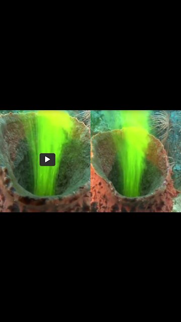 Sponge pumping water