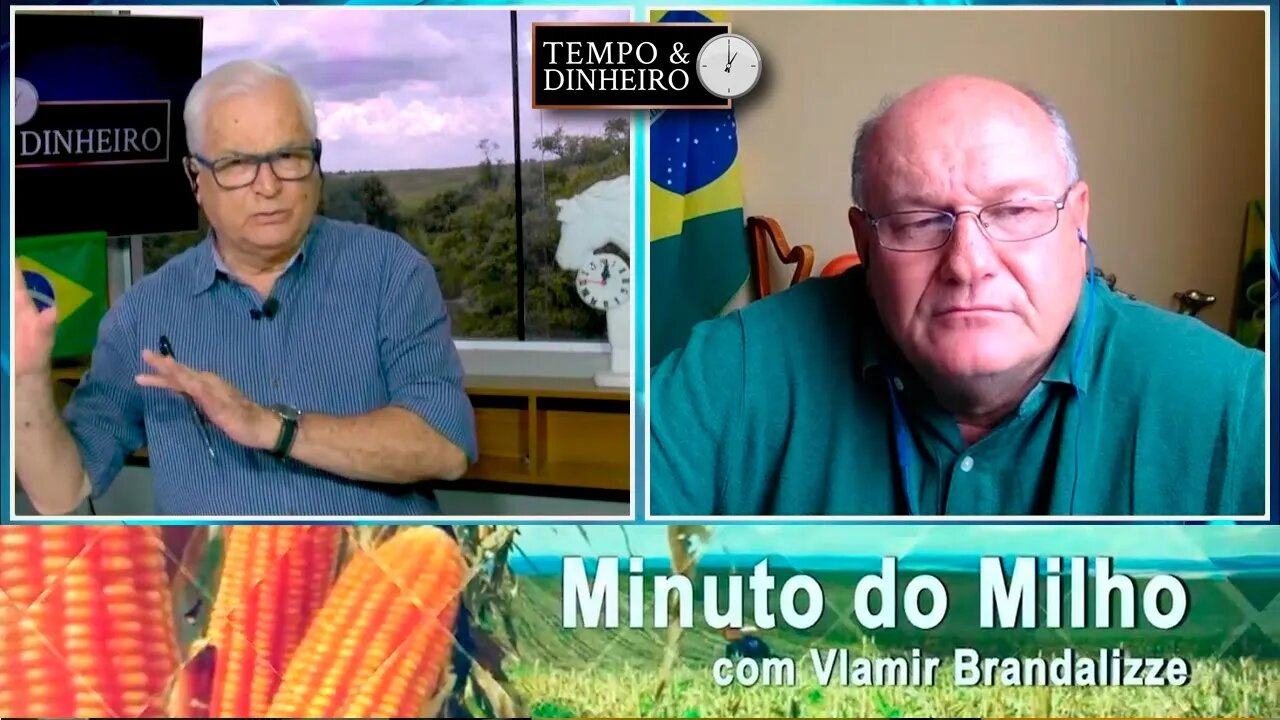 Milho com exportações recordes