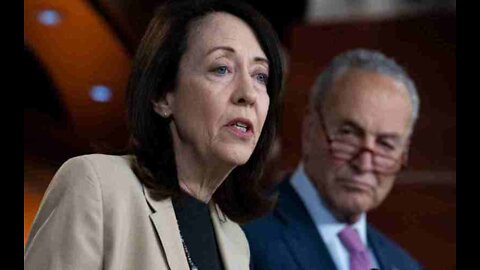 Senate Democrats Consider Hauling Elon Musk in for Questioning Over Twitter Buyout