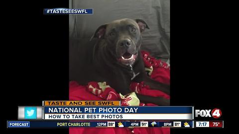 Taking the best pictures of your pet on National Pet Photo Day