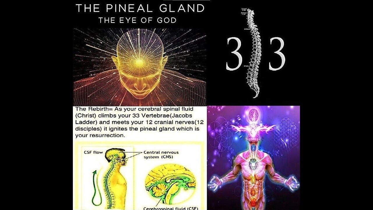 HOW TO OPEN DEMONIC SUN PORTALS THAT CAUSE SEVERE RETARDATION THROUGH COLOR CODED PINEAL GLAND ACTIVATION