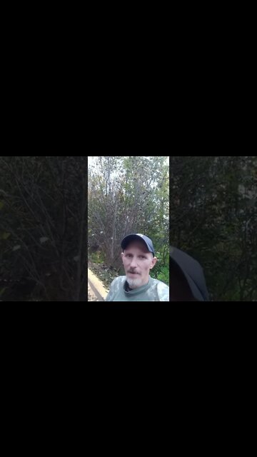 WELCOME TO FALL #short