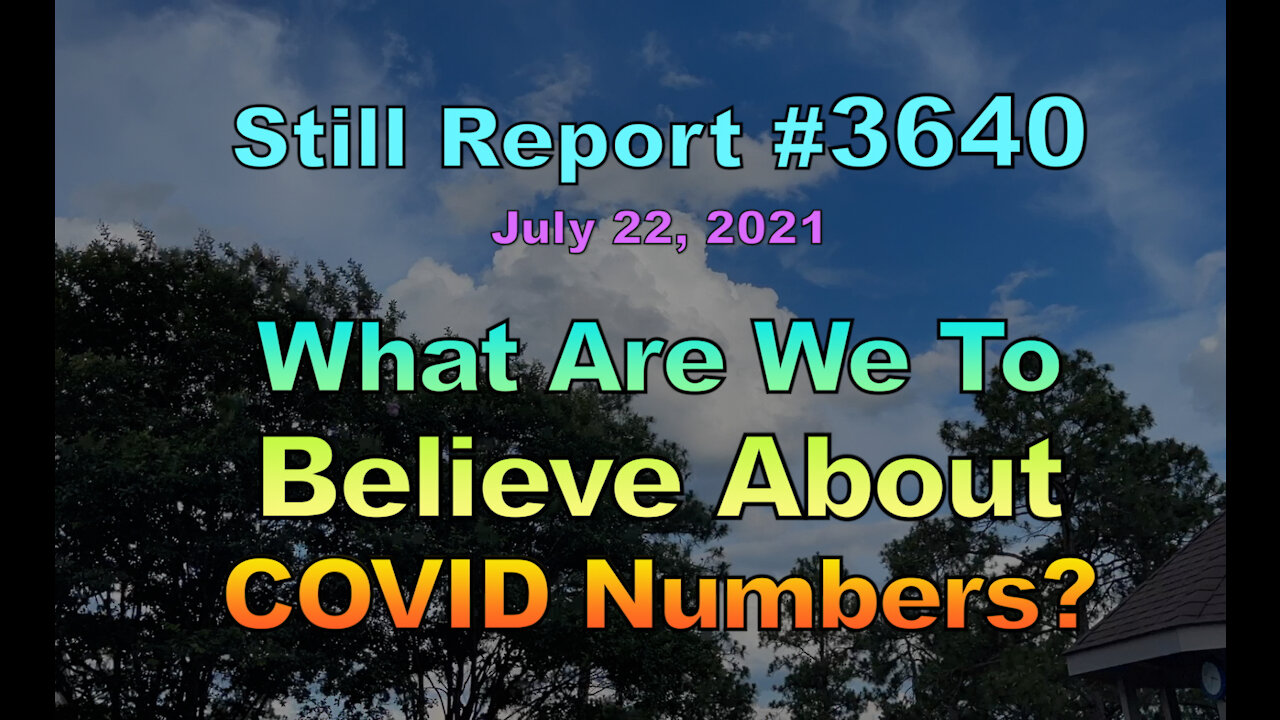 What Are We to Believe About COVID Numbers?, 3640