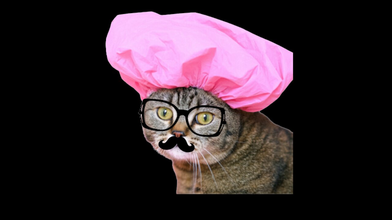 FUN PETS GAGS