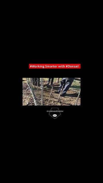 #worksmarternotharder with #Donsail - #catshobbycorner