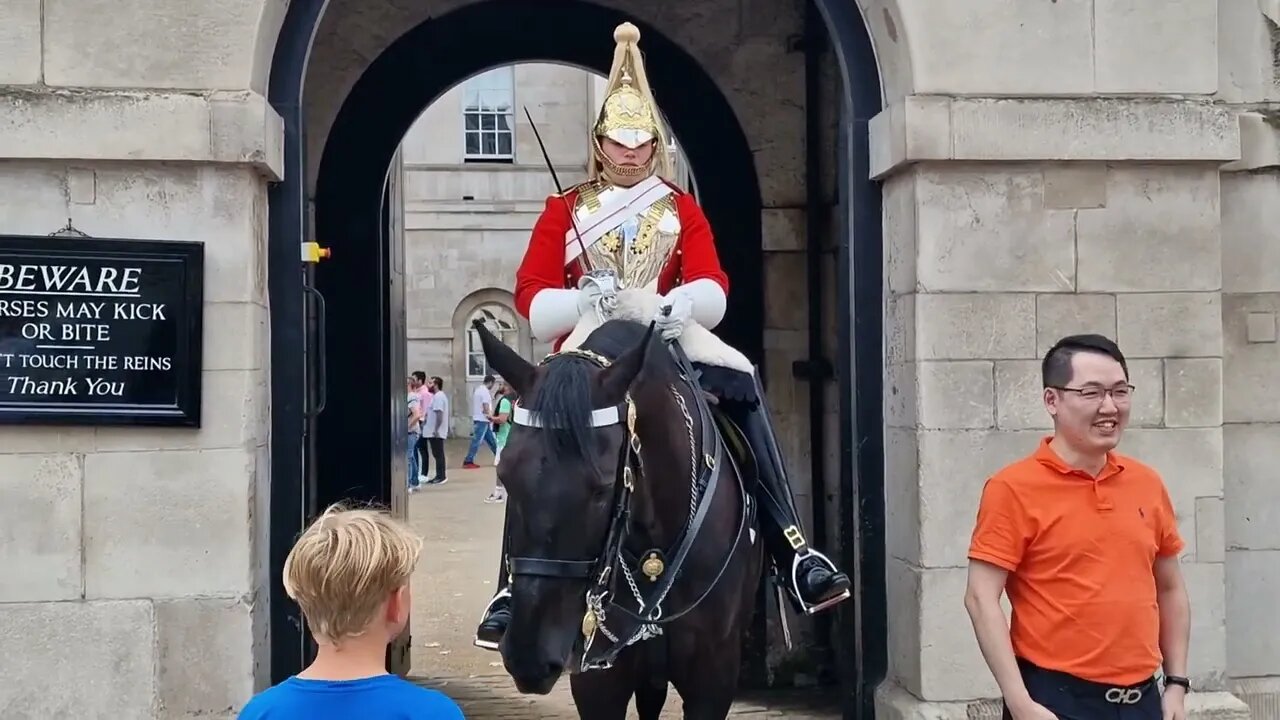 This is not Disneyland #horseguardsparade